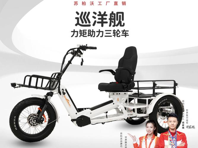 苏柏沃助力三轮车热销车型